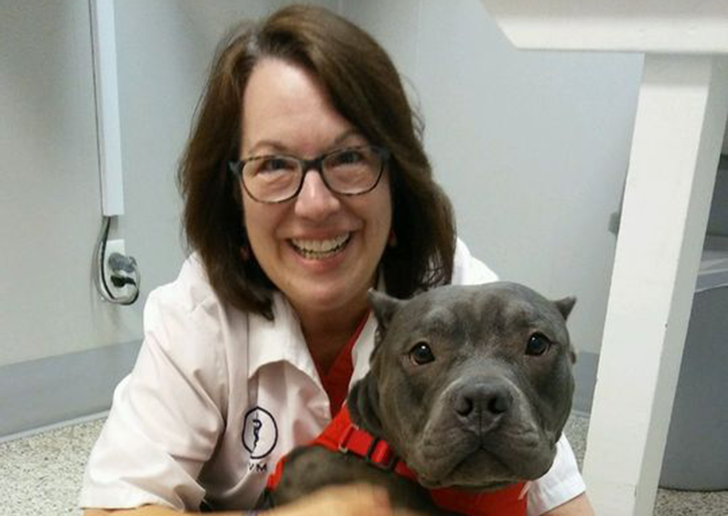 Dog Veterinary Care, Brecksville