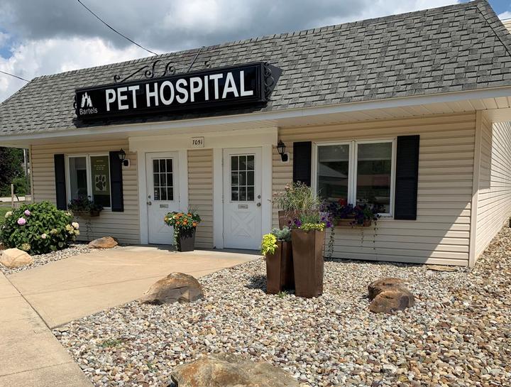 Breaking news at Bartels Pet Hospital